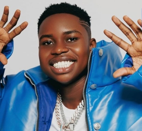 Peller got no approval for palace visit, Benin Council insists