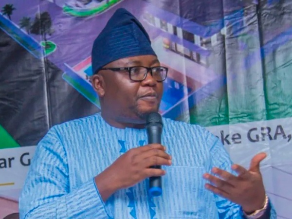 I apologise, Power minister begs Nigerians over outages
