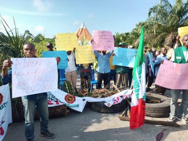 Akwa Ibom: Youths picket oil palm firm, decry marginalisation