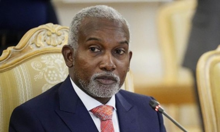 FG seeks global partnership to tackle crime, insecurity