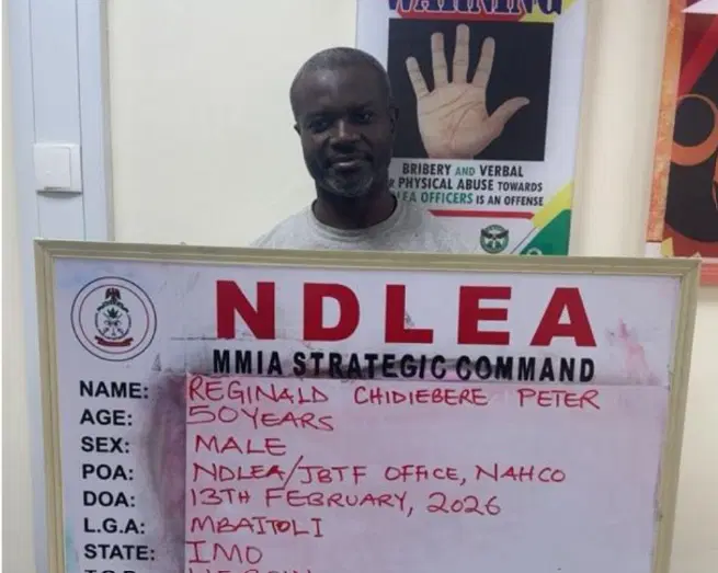 Wanted drug lord falls into NDLEA's net after 13 years in hiding