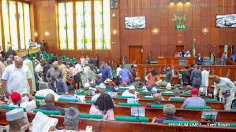 Capital budgets without cash: How trillions approved by NASS failed to reach MDAs