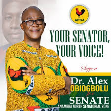 Anambra North Senatorial Election:  Obiogbolu promises result-driven approach 