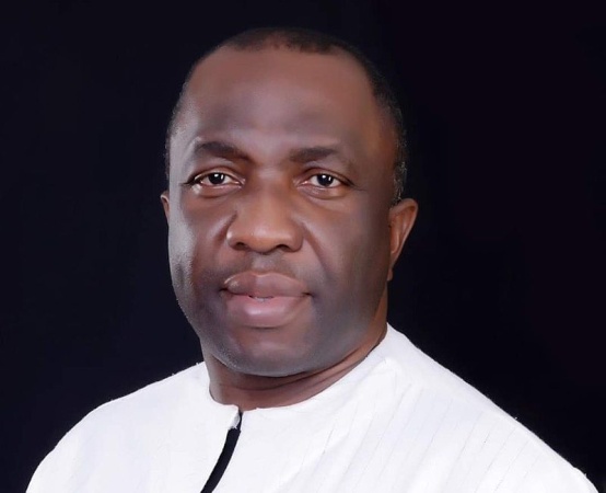 ADC will proceed with congresses, convention despite leadership crisis, says Nwosu