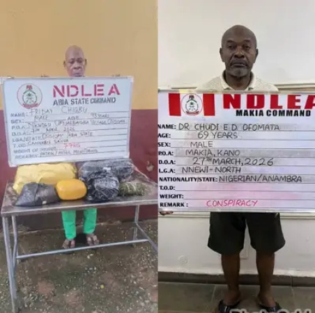 NDLEA arrests 93-year-old, doctor in nationwide drug crackdown