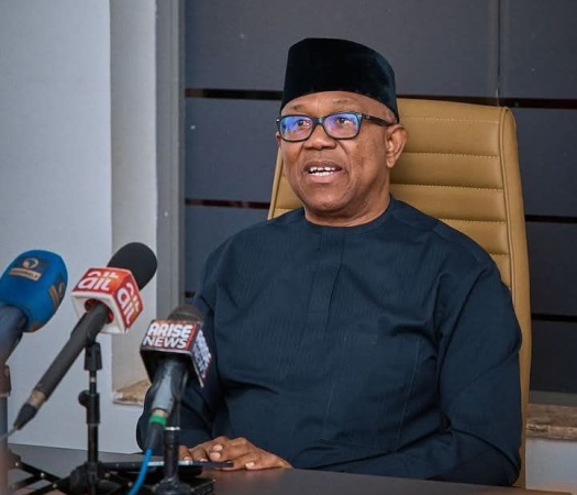 2027: I will declare war on terrorism if elected – Peter Obi