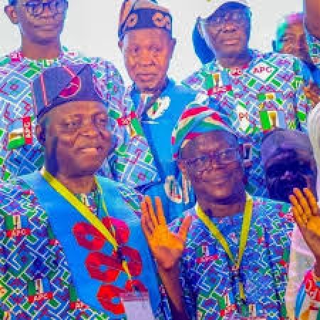 Live Media Chat: APC National Chairman and National Secretary to address Nigerians today