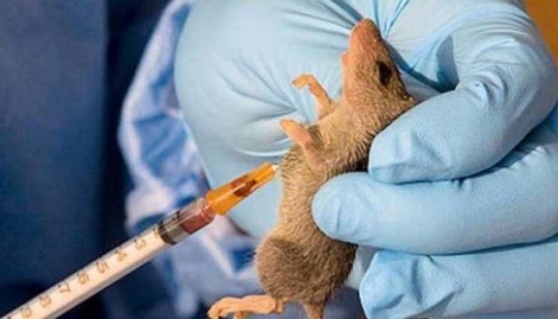 Lassa fever kills 170 in 3 months