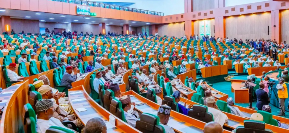 Reps query NAIC, Insurance firms over N1.12trn Anchor-Borrowers funding 