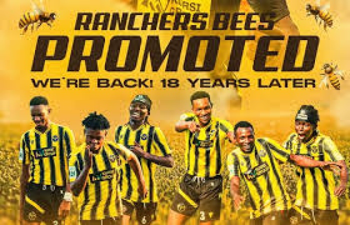 Ranchers Bees FC gain promotion to Nigeria Premier League