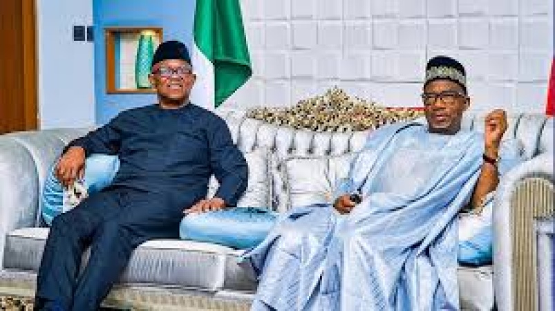 2027: Peter Obi pushes for South-East, North alliance