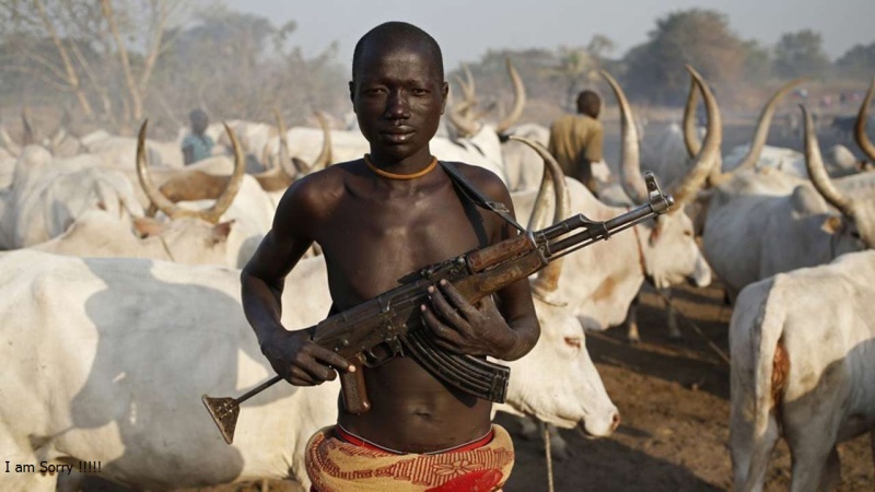 Armed herders kill seven in Benue attack