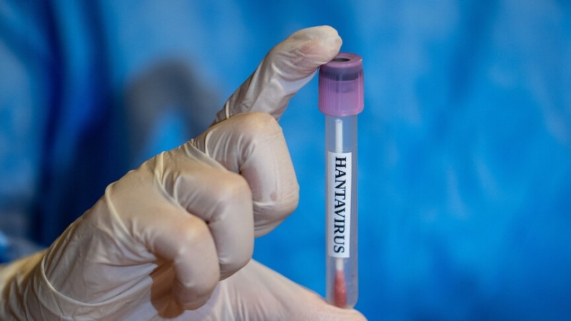 Argentina battles record hantavirus surge amid diplomatic firestorm with WHO