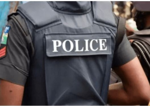 Police arrest two robbery suspects in Bauchi