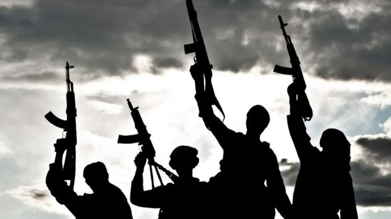 Gunmen raid Kano community, kill herder, rustle over 300 cattle
