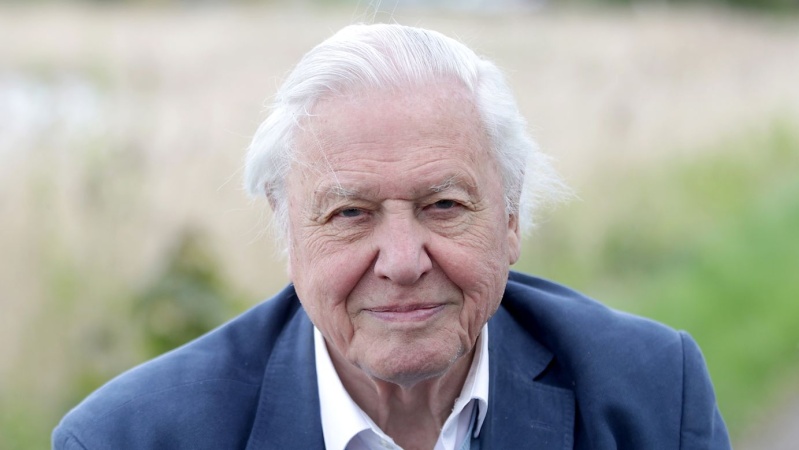 David Attenborough at 100: Key moments from an extraordinary life