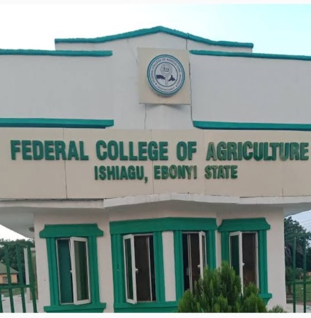 Confusion heightens in Ebonyi agriculture college over provostship