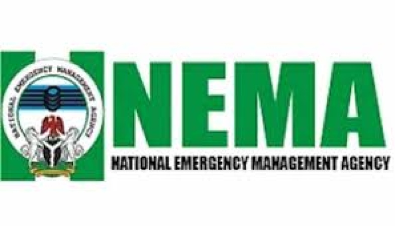 Hackers infiltrate NEMA website