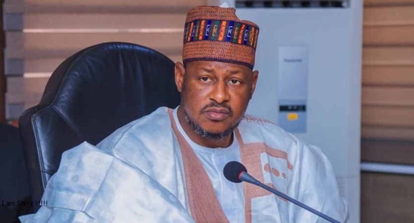 It’s a lie to blame insecurity in Nigeria on foreign terrorists — Katsina Gov. Radda