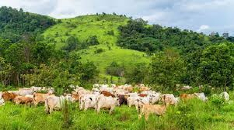  Bomb scare in Yankari Grazing Reserve, security operatives discover 21 impacted points 