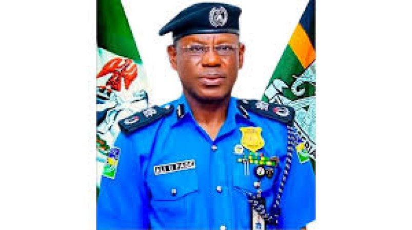 Police arrest suspected kidnapper over Katsina village attack