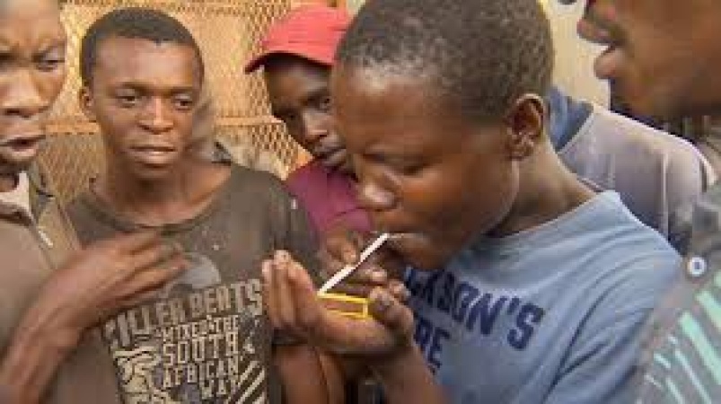 14.4 per cent Nigerian youths aged 10 to 29 years abuse drugs — Don