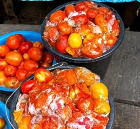 Aproko Doctor warns Nigerians against rotten tomatoes