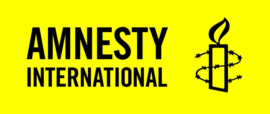 Inaccurate data collation hindering national planning, dev’t — Amnesty Int’l