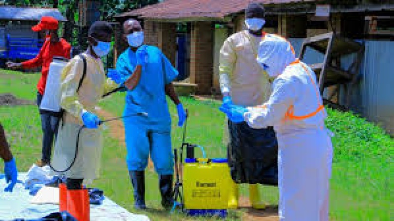 Ebola spread in DR Congo ‘deeply alarming’, MSF warns  