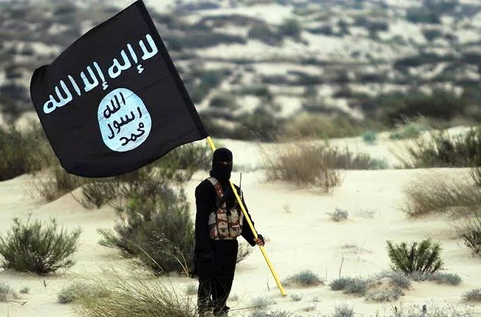 How Nigeria, U.S. forces planned operation, neutralised senior ISIS commander — DHQ