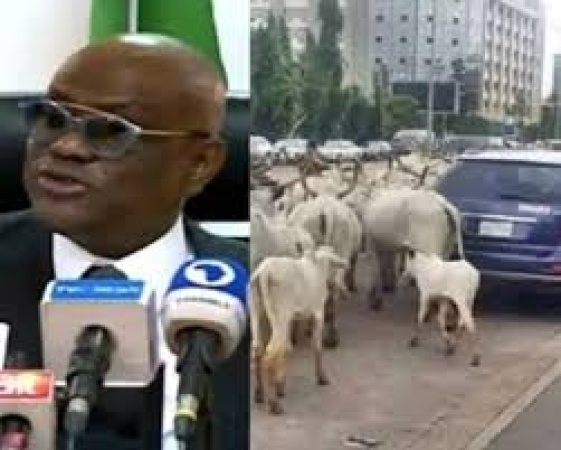‘It’s an issue of national security,’ Wike reacts to concerns over open grazing in FCT
