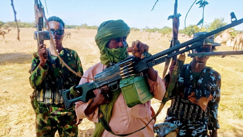 Bandits kill 9 farmers, others escape attack in Zamfara