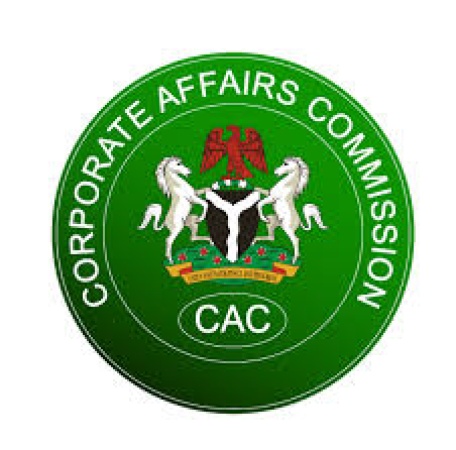 Court orders CAC to restore NYCN registration, reinstate Sukubo’s BoT