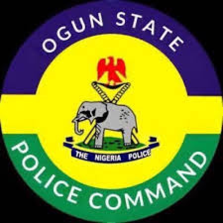 Police arrest 7 suspects, recover firearm in Ogun