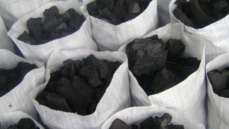 Charcoal, firewood business booms as Abuja residents groan over rising gas prices 