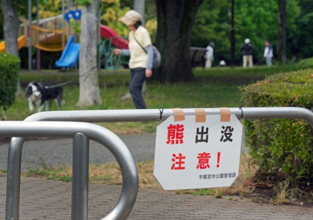 Japanese city closes nearly 100 schools after bear sightings as post-hibernation attacks rise