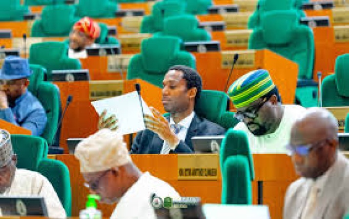 Reps Release Constitution Amendment Bills, To Vote On State Police Creation Today