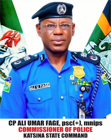 Police arrest 225 suspects, rescue 17 kidnap victims in Katsina