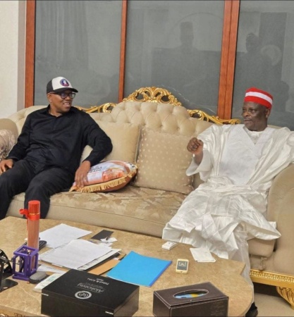 Kwankwaso meets Obi in Abuja, calls for tolerance, sacrifice in NDC