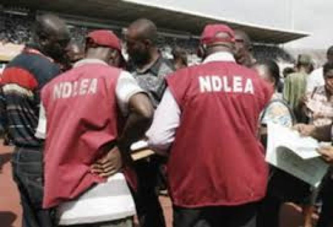 NDLEA arrests suspect with over one metric tonne of cannabis in Taraba