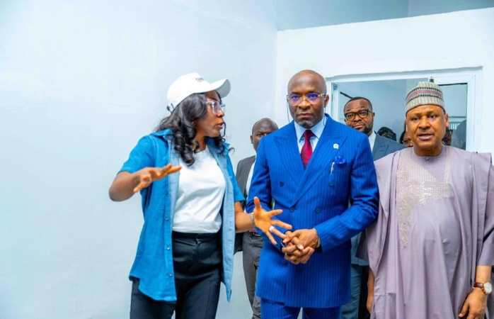 FG targets 40 million homes, N600bn with digital TV rollout 