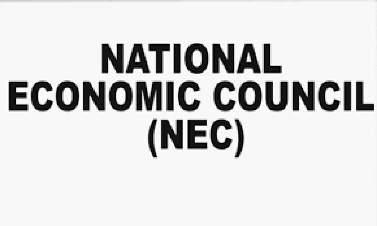 NEC okays N83.2bn flood intervention, moves to strengthen regional development framework