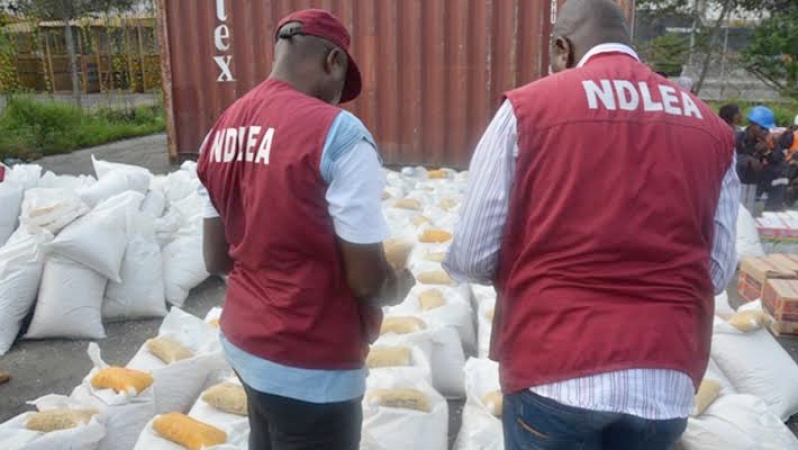Anambra: NDLEA arrests 559 suspects intercepts 1.8 tonnes of illicit drugs