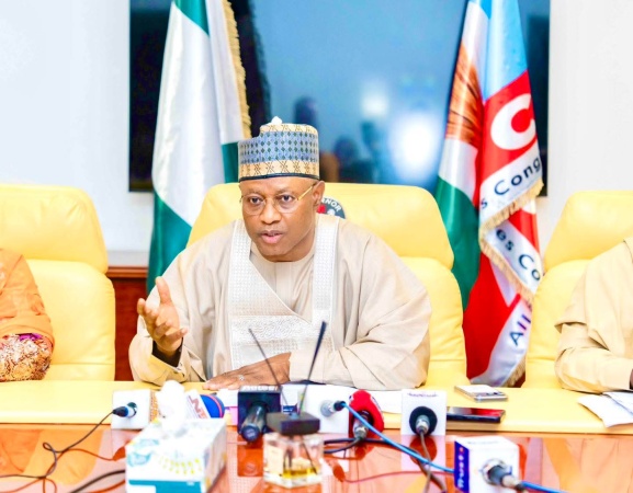 Bandits do not deserve second chance, must be eliminated — Uba Sani