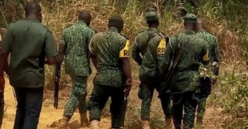 False alarm triggers sporadic gunfire by forest guards in Yobe