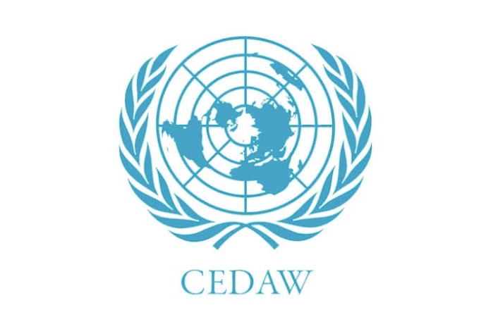 Nigeria wins election into UN CEDAW
