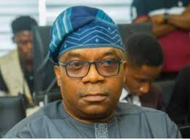 Nigeria First: Sola Enikanolaiye and the end of Afrocentric idealism