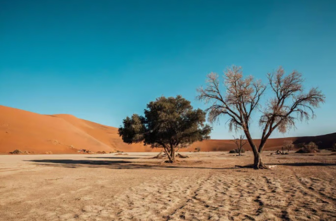 South Africa overtakes Germany, UK, US, France, Morocco, Zimbabwe, Botswana and other source countries in powering Namibia tourism revenue surge in 2026 through affordable travel demand, rapid hospitality sector expansion, job creation growth, and rising leisure tourism across desert and wildlife destinations