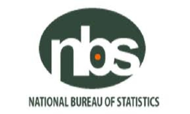 DisCos generated N630bn in Q4 of 2025, customers hit 6.97 million — NBS