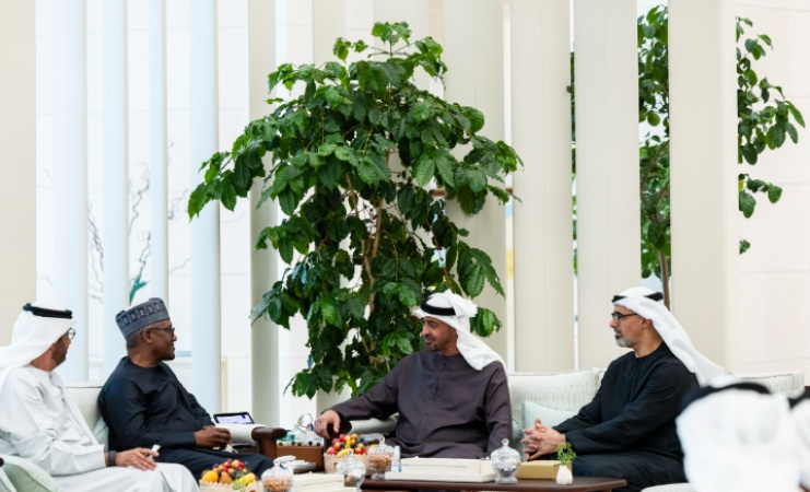 Dangote unveils vision 2030 to UAE President, deepens strategic investment engagement